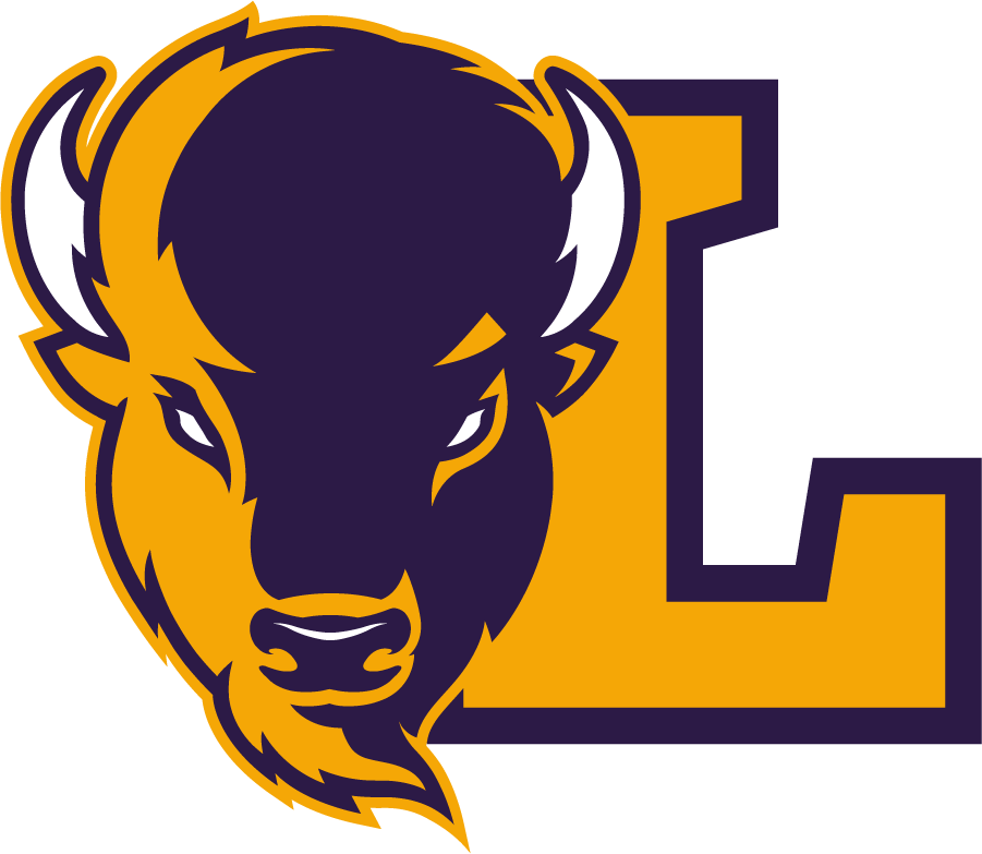 Lipscomb Bisons 2020-Pres Alternate Logo v4 t shirts iron on transfers